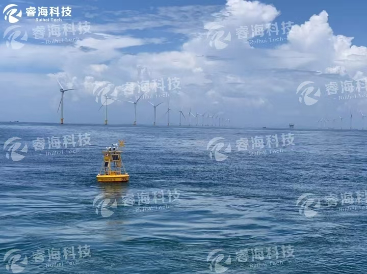 微信圖片_20250226102020 微信圖片_20250226102020